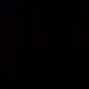 Meet your Posher, Ellen